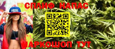 тгк Моздок