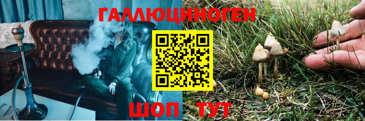Галлюциногенные грибы прущие грибы  Вход с VPN  Чебоксары  Галлюциногенные грибы мухоморы 